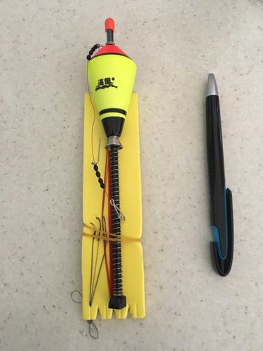 Customer photo review of AutoDobber | De automatische vishaak