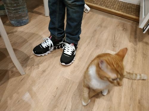 Customer photo review of Ultra Light Mesh Breathable Sneakers