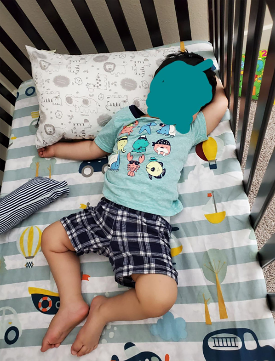 Customer photo review of Toddler Pillow with Cute Pillowcase