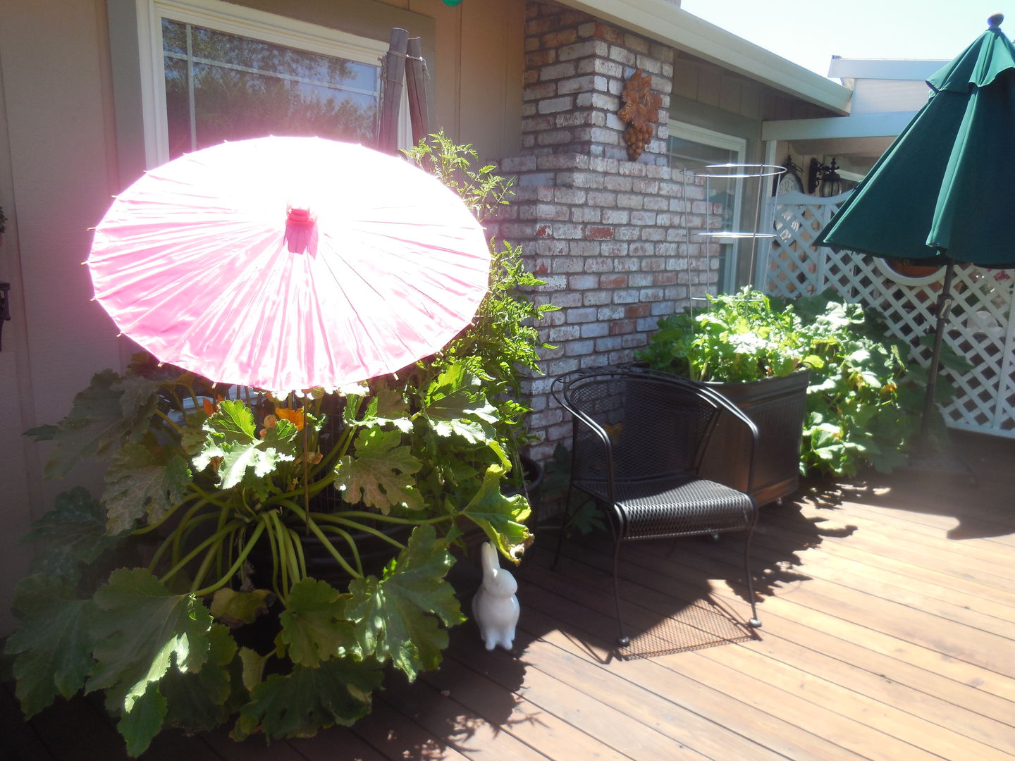 Customer photo review of 28" Hot Pink Parasol Umbrella, Premium Nylon