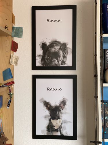 Customer photo review of Individuelles Haustierporträt - Posterdruck im Rahmen