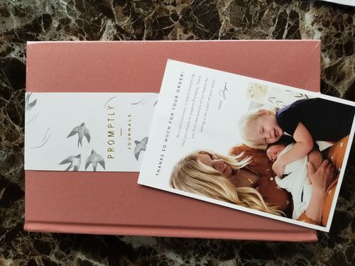 Customer photo review of Childhood History - Dusty Rose