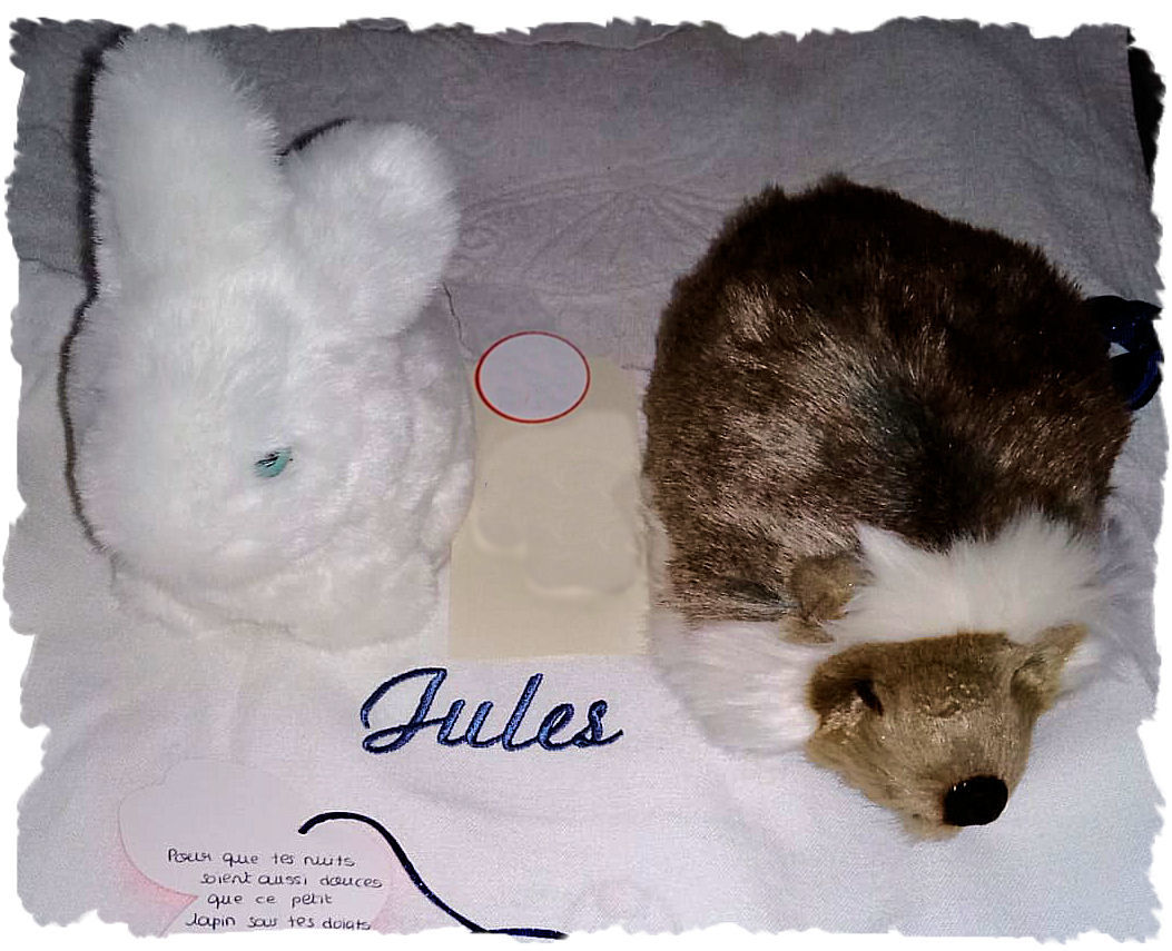 Customer photo review of Mon hérisson Alfred