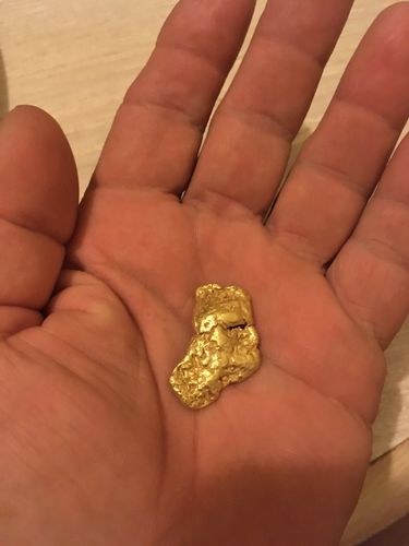 Customer photo review of *BOGO* Goldn Paydirt '$5,000 Nugget Giveaway' - Gold Panning Paydirt Concentrate
