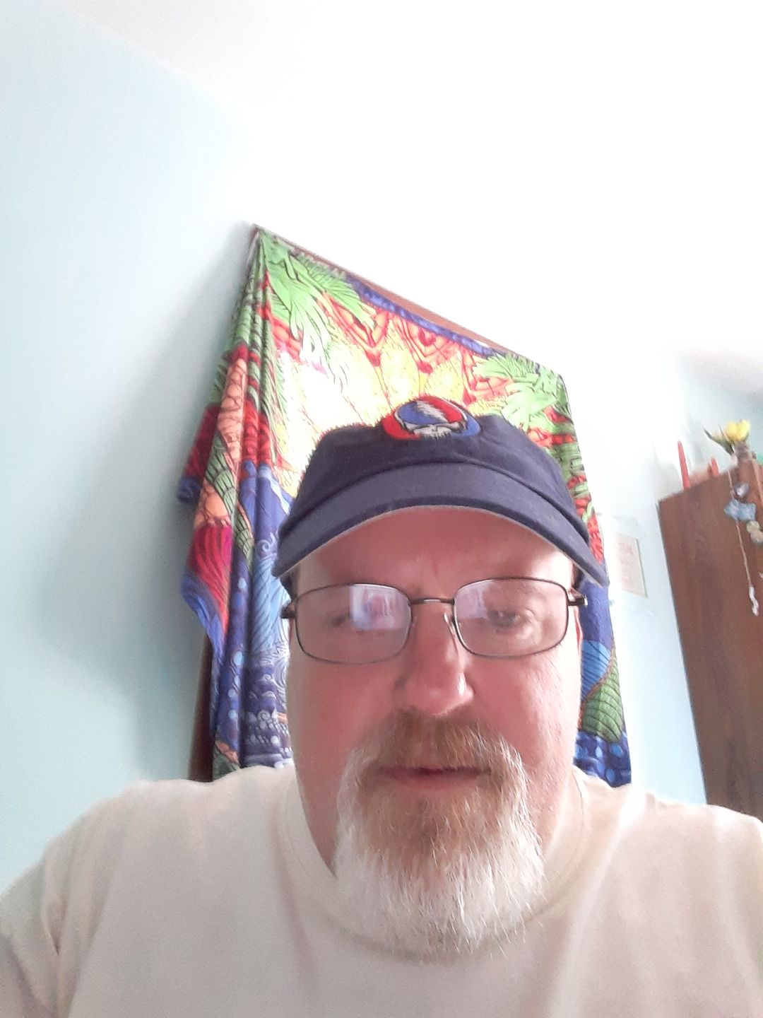Customer photo review of Grateful Dead Steal Your Face Cap