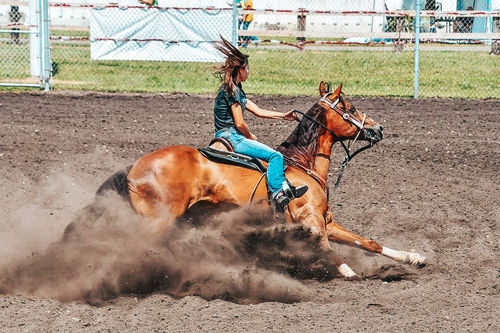 Customer photo review of MIAMI LIGHTROOM PRESETS