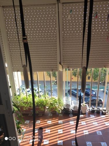 Customer photo review of 1 Pair Birch Wood Gymnastic Rings Pull Up GYM Ring for Home Fitness Strength Training. 2.8cm*4.5m Adjustable Straps for Optional