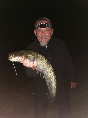 Customer photo review of 5g Smart Fishing Float