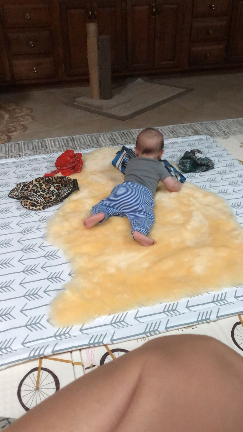 Customer photo review of Baby Lambskin Rug, Medical Sheepskin XL, 100% Natural Australian Lambskin, Extra Large, 41 in, Flax