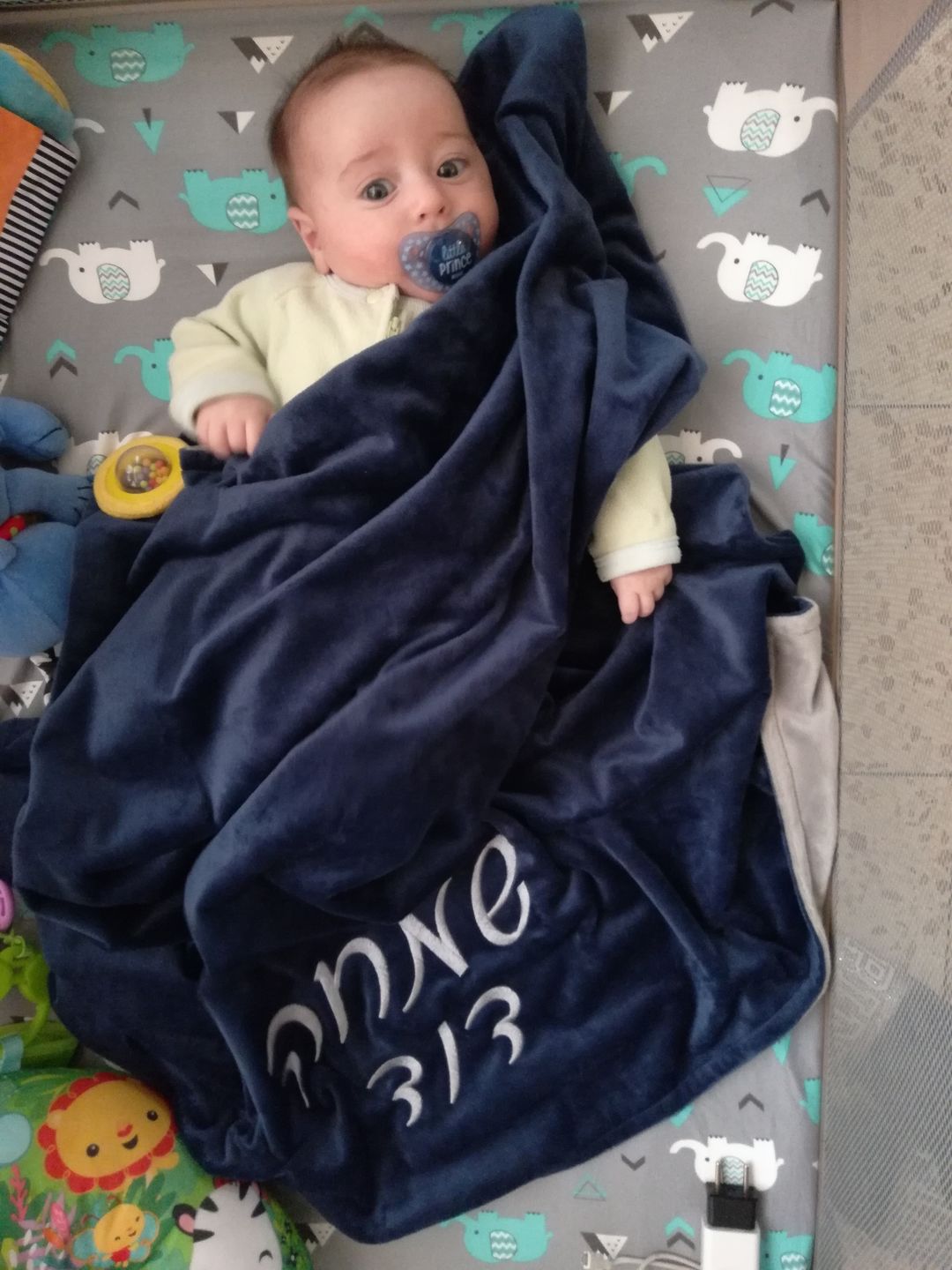 Customer photo review of Minky Bee  Stroller Blanket Grey/Navy