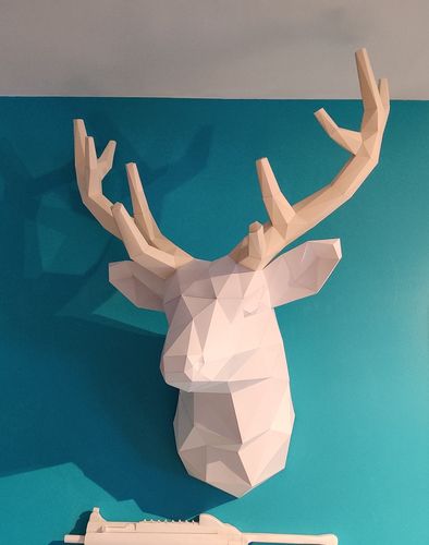Customer photo review of Cerf