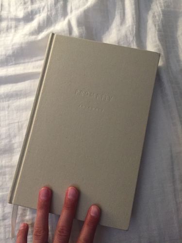 Customer photo review of Love Story Journal - Sand