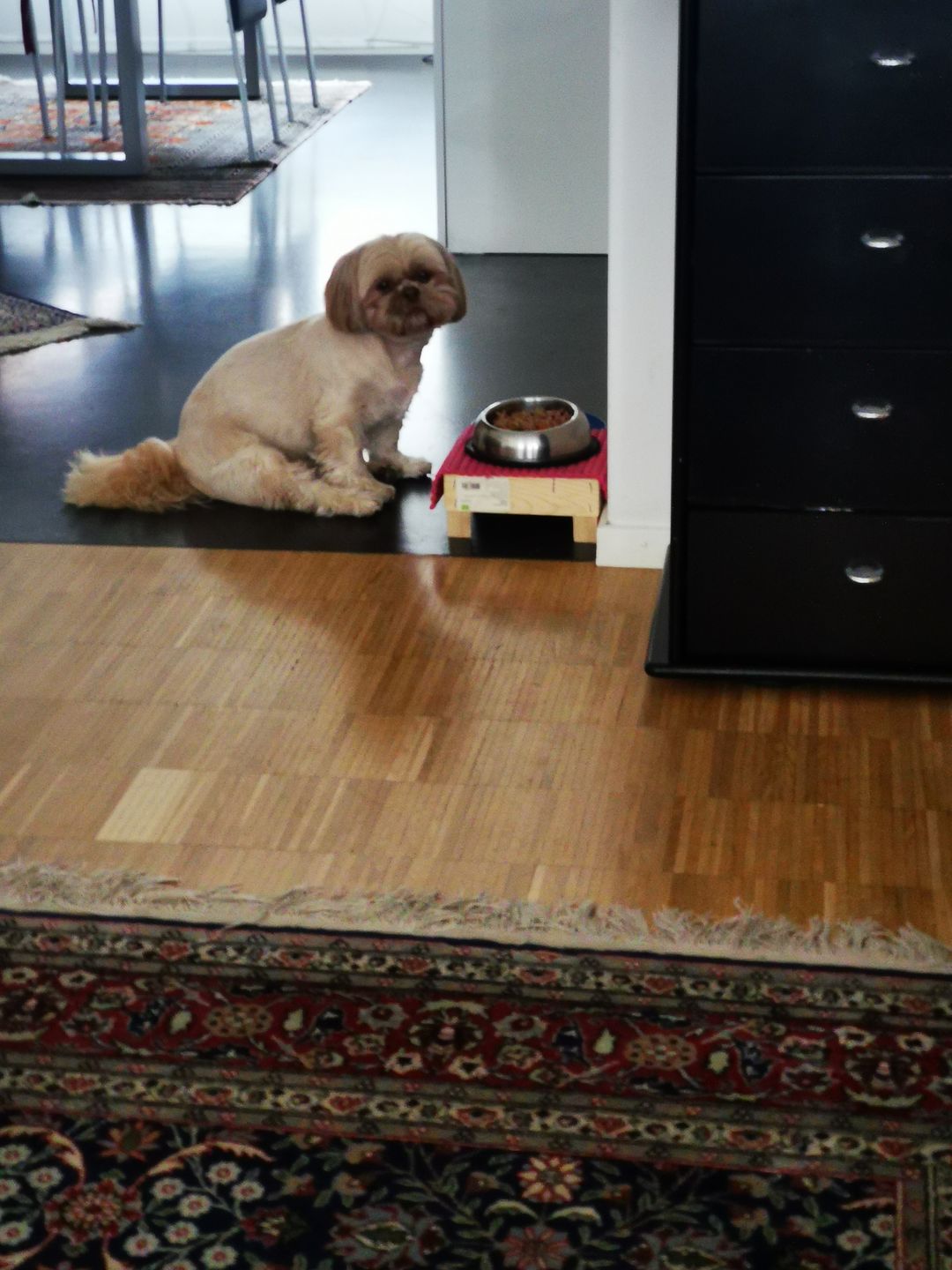 Customer photo review of NutriDog Starter-Box - 3 Sorten in 200g Portionen