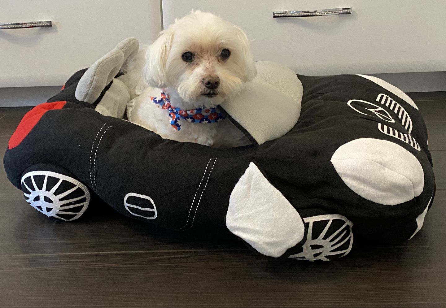Customer photo review of Furcedes Sports Car Bed