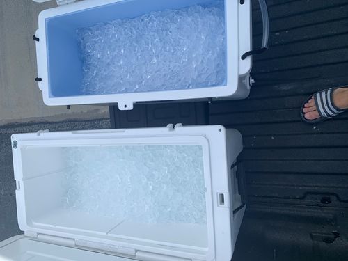 Customer photo review of ICEY-TEK Classic 95 Quart Roto-Molded Long Box Coolers