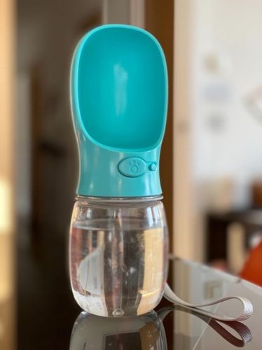 Customer photo review of DoggyCup© - Ideal für heiße Sommertage