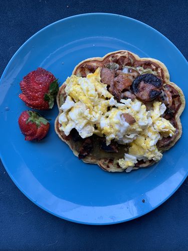 Customer photo review of Low Fat Vanilla Viking Waffles