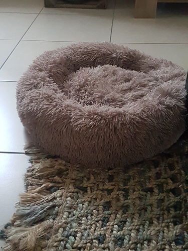 Customer photo review of Lit Apaisant Comfy® |  Pour Chien et Chat