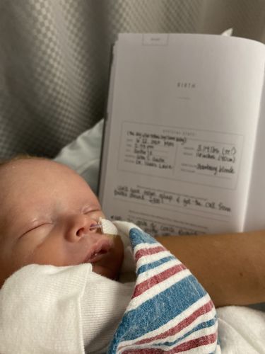 Customer photo review of Adoption History - Grey