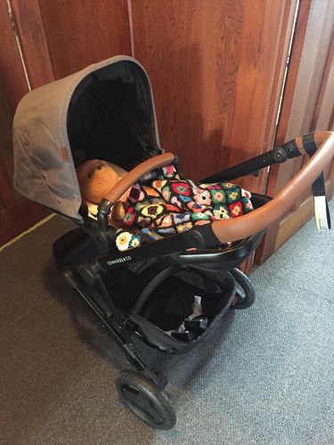 Customer photo review of Oscar Mx