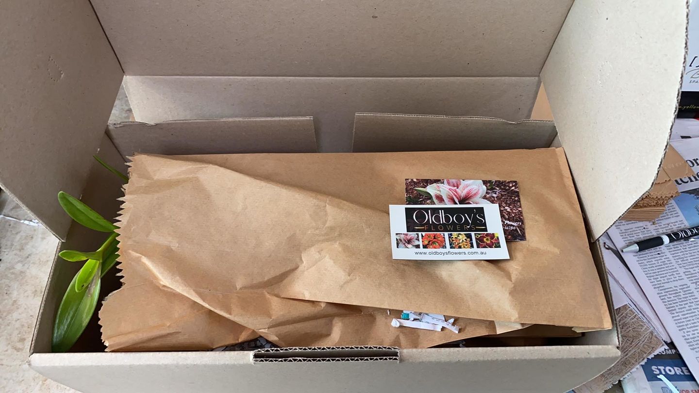 Customer photo review of Epidendrum