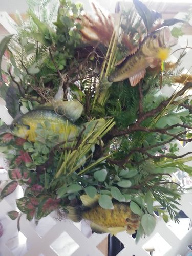 Customer photo review of 24 IN MIX LVS BUSH 59891