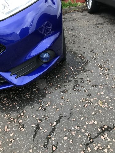 Customer photo review of Fiesta ST180 Fog Light Armour