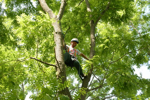 Customer photo review of SUMMER PRO