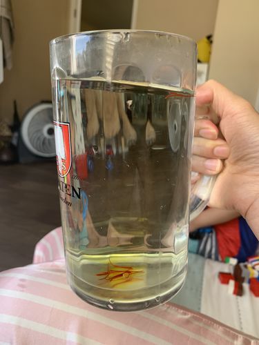 Customer photo review of PERSIAN SAFFRON (2 GRAMS)