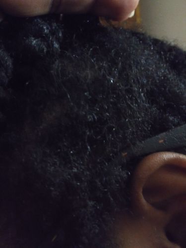 Customer photo review of Nae Nae's 9oz Hair Boost Special