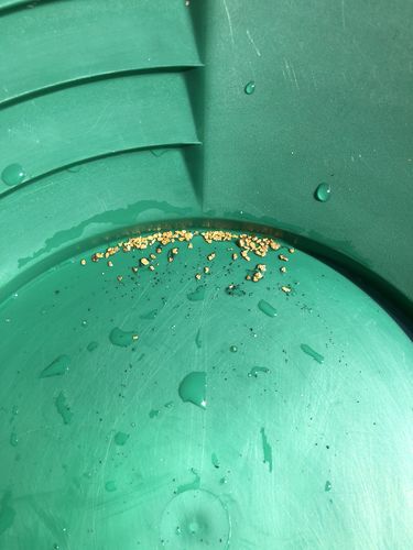 Customer photo review of *BOGO* Goldn Paydirt '$5,000 Nugget Giveaway' - Gold Panning Paydirt Concentrate