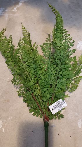 Customer photo review of 16 In Fern Bundle 80633