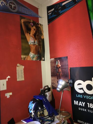 undefined review of Sommer Ray Poster - Floral Bikini image 1 out of 1