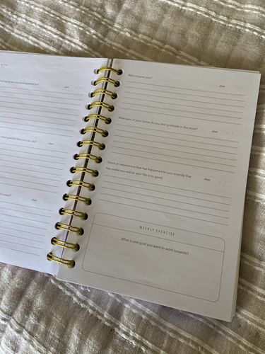 Customer photo review of Gratitude Journals - Dusty Rose