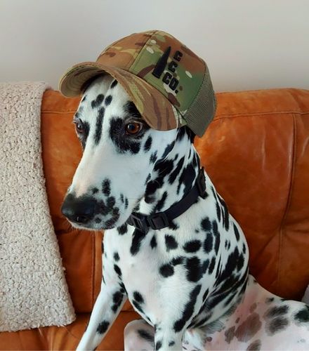 Customer photo review of Camo Lid