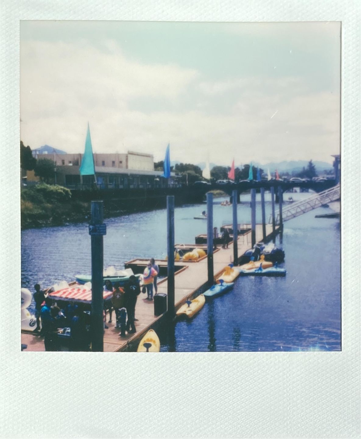 Customer photo review of Polaroid SX-70 Sonar Autofocus Black Folding Instant Film Camera