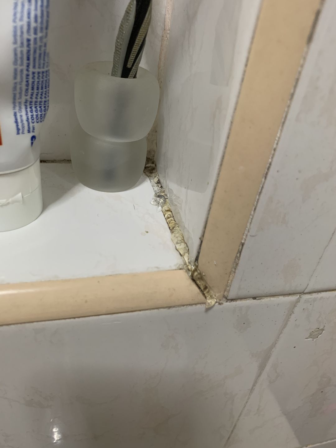 Customer photo review of Gong100 Mold Remover Gel