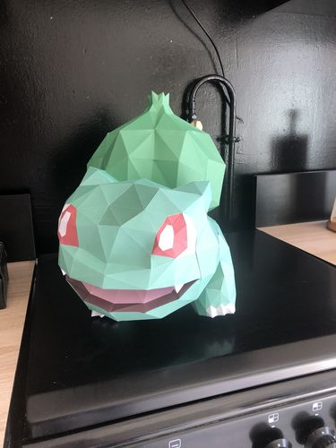 Customer photo review of Bulbizarre