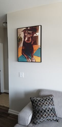 Customer photo review of Custom 1-Piece Vertical Canvas Art