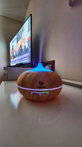 Customer photo review of Scenta Smart 300ml Essential Oils Diffuser compatible with Alexa & Google Home