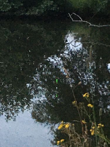 Customer photo review of 10g Smart Fishing Float