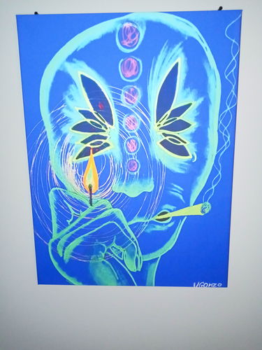 Customer photo review of Extraterrestrial High Canvas Set