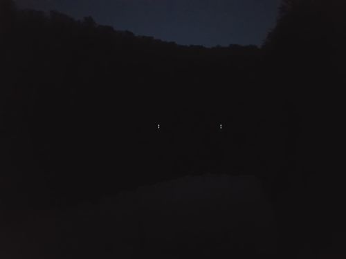 Customer photo review of 10g Smart Fishing Float