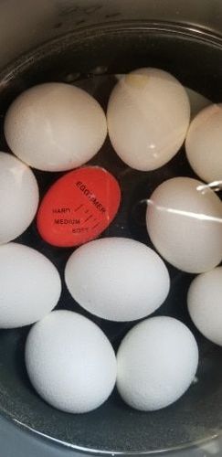 Customer photo review of Perfect Egg Cooker