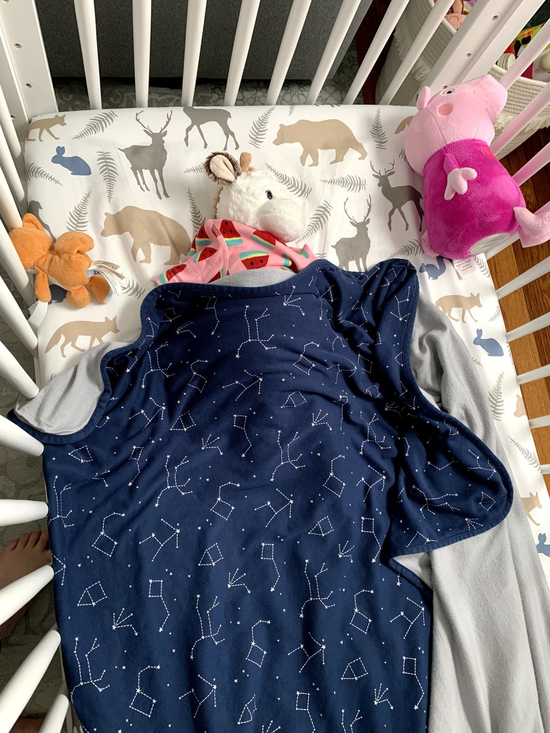 Customer photo review of Toddler Blanket, 4 Season® Merino Wool & Organic Cotton Blanket, 52.5" x 40", Night Sky™