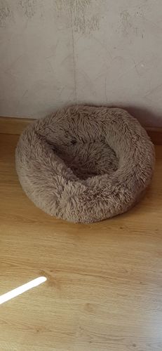 Customer photo review of Lit Apaisant Comfy® |  Pour Chien et Chat