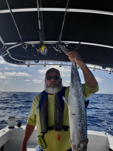 Customer photo review of Replacement Roto Screw Latch