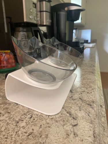 Customer photo review of The Purrfect Bowl