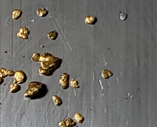 Customer photo review of *BOGO*: MAMMOTH 'TROY OUNCE NUGGET HUNT' Gold Paydirt - Gold Paydirt Concentrate