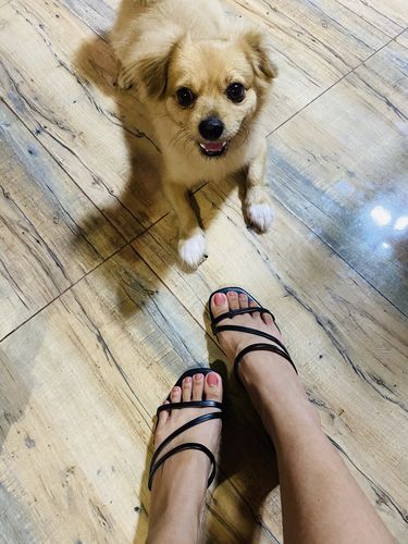 Customer photo review of Zia Black